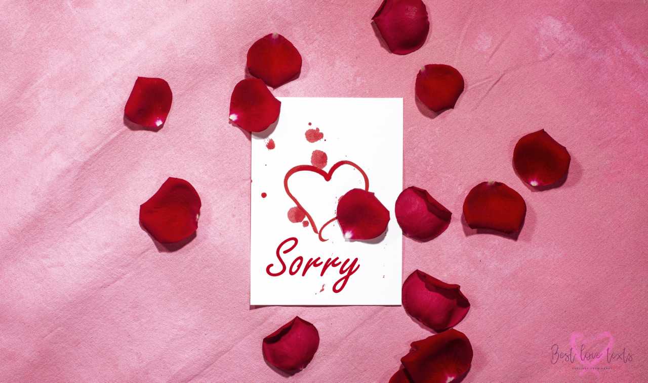 I am Sorry Text Messages - Best Love Texts